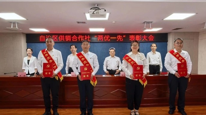 党建领航强根基 实干争先显担当&mdash;&mdash;供销集团党委多名个人集体获直属系统 &ldquo;两优一先&rdquo; 表彰