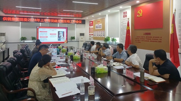 互观互学  互查互评  互研互促&mdash;&mdash;供销集团党委开展2024年上半年党建互观互检工作