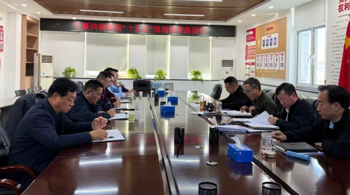 锚定高质量发展 绘就战略新蓝图&mdash;&mdash;宁夏供销集团召开&ldquo;十五五&rdquo;规划调研座谈会​